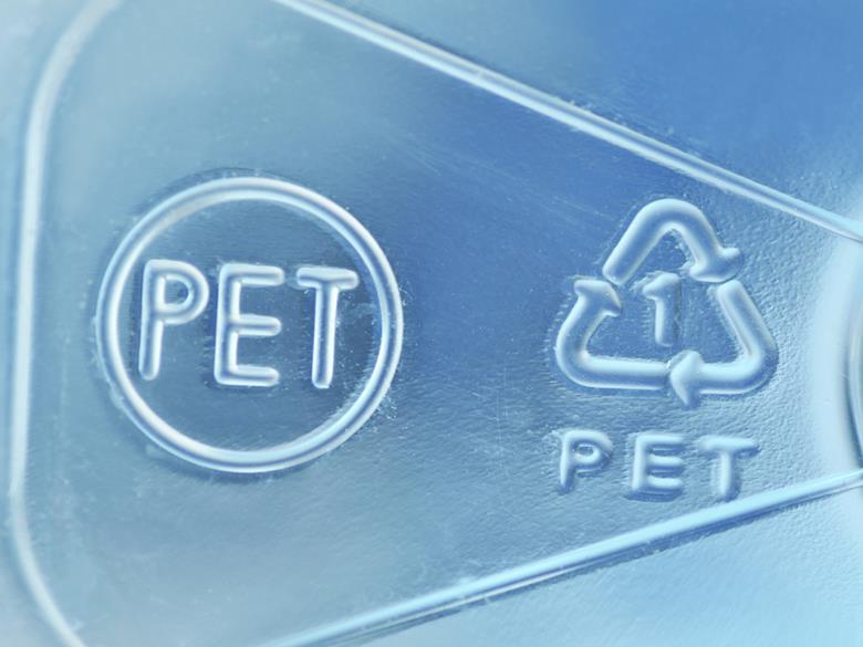9550_pet_628463 9550_pet_628463